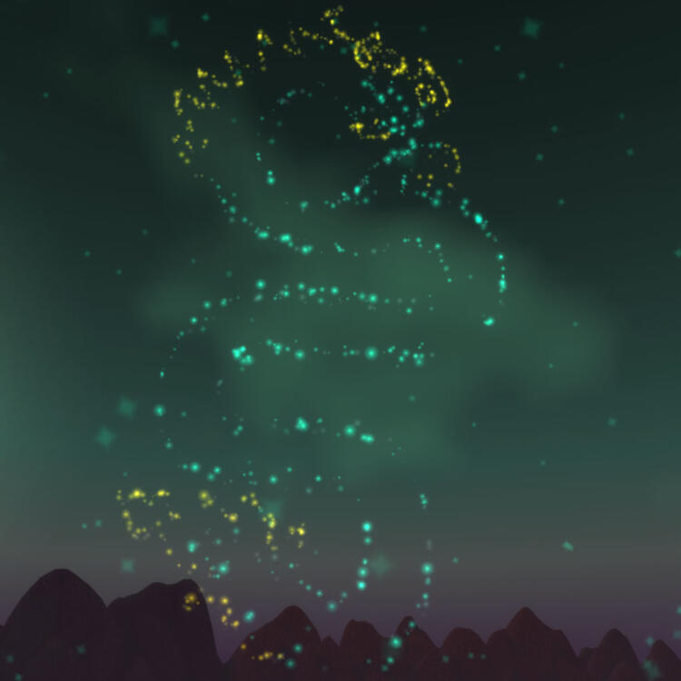 FIREWORK